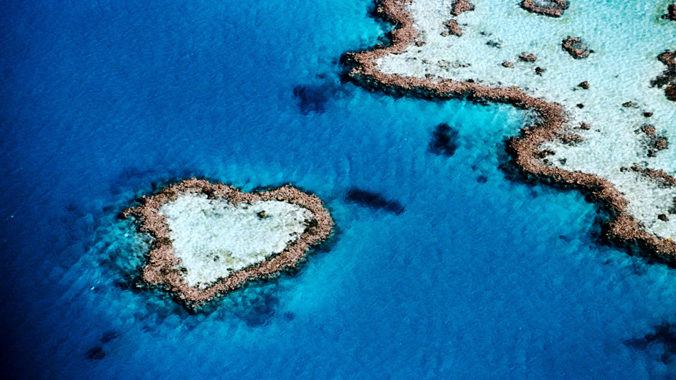 Take in the Heart Reef by air / Hamilton island Air