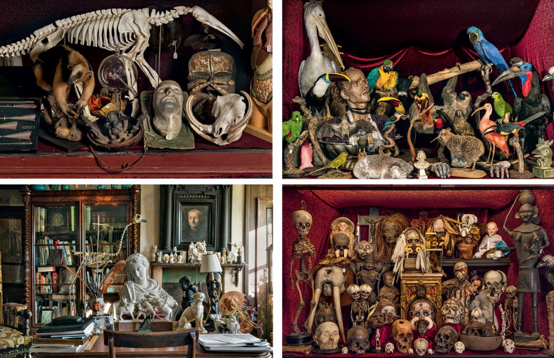 Clockwise from Left/  Napoleaon’s death mask Sculpture by Eleanor Crook and rare birds Cabinet of Death Tim Knox’s desk at Malpaquet House 