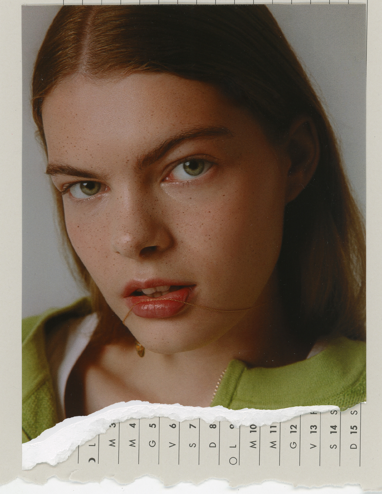 diary of a daydreamer