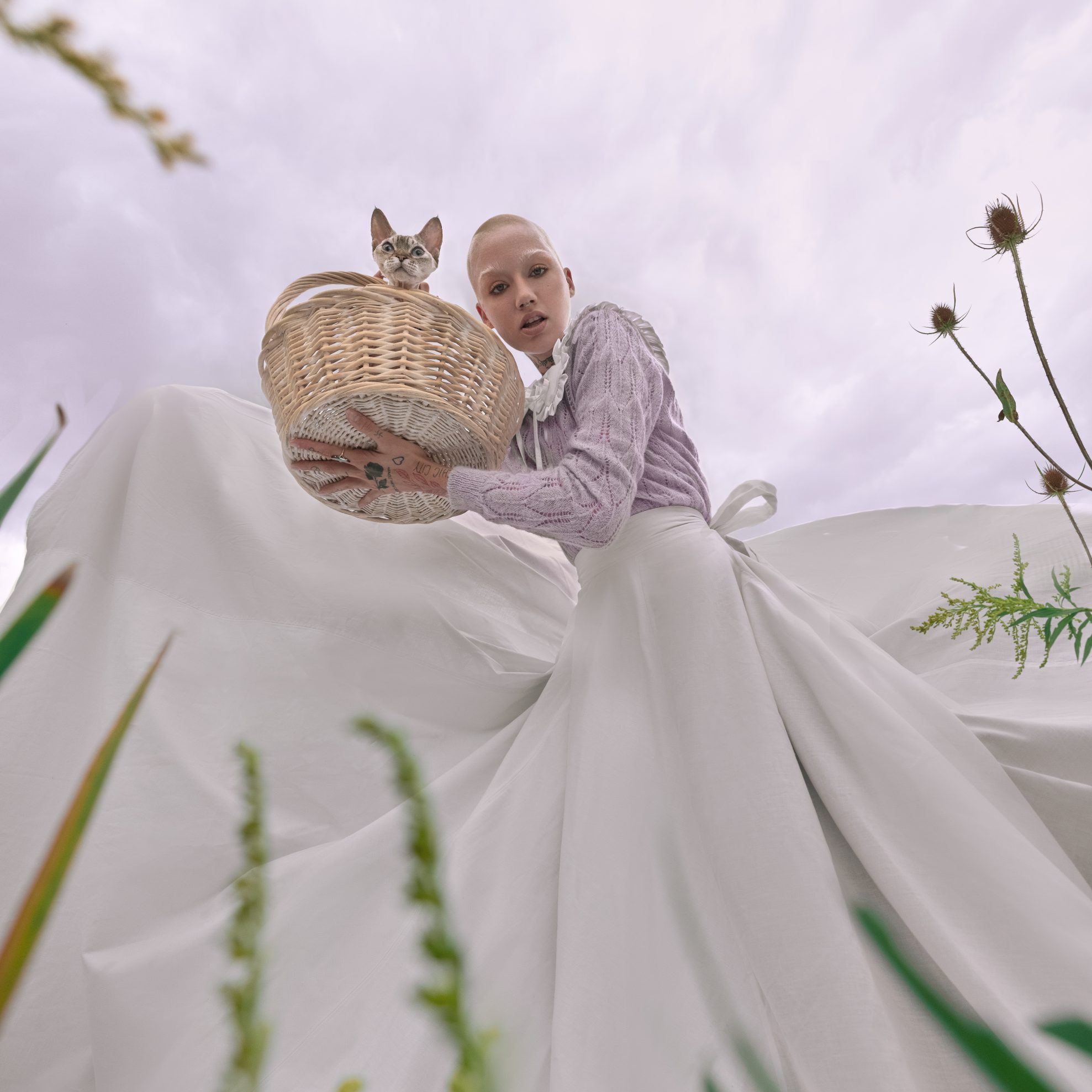 high tea | nick merzetti interview