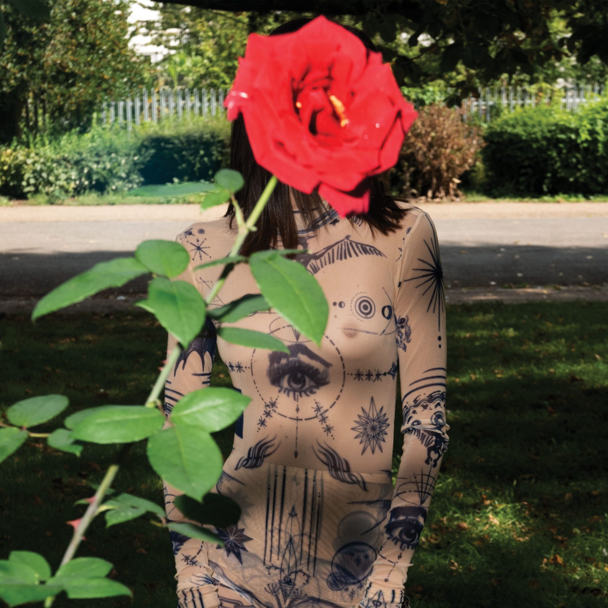 Schön! 41 | feeling good