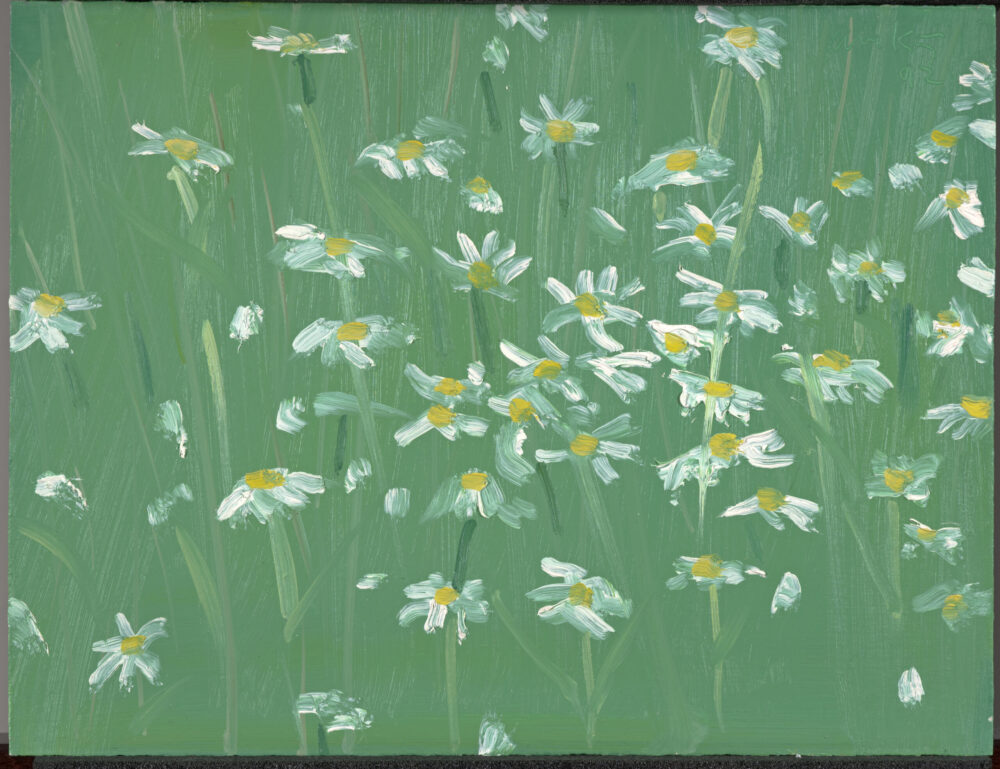 Daisies #2 Copyright © Tate / Tate Images