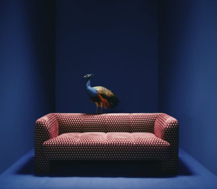 2024-11-BA-WESTWING-DEDAR-DEDAR-BLUE-SOFA-0313-Final-e1737041850599