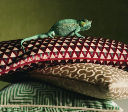 2024-11-BA-WESTWING-DEDAR-DEDAR-PISTACHIO-PILLOWS-356-Final-e1737041647563