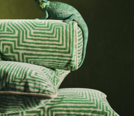 2024-11-BA-WESTWING-DEDAR-DEDAR-PISTACHIO-PILLOWS-506-Final-e1737041628352