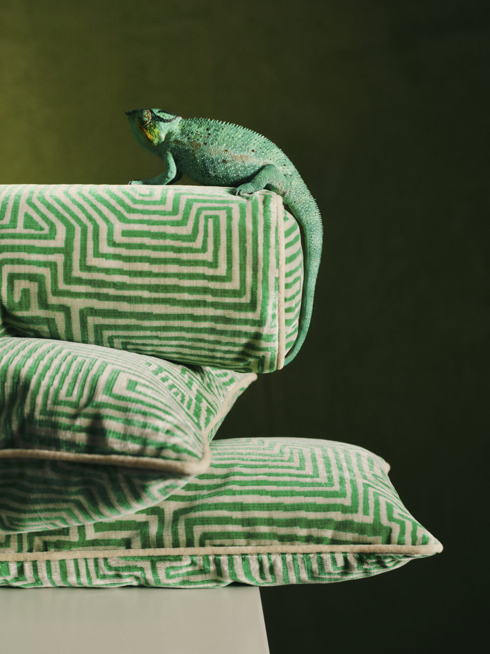 2024-11-BA-WESTWING-DEDAR-DEDAR-PISTACHIO-PILLOWS-506-Final-e1737041628352