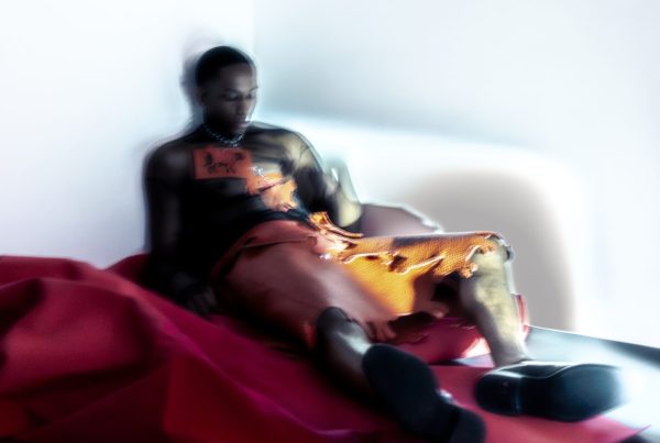 echoes in wonderland