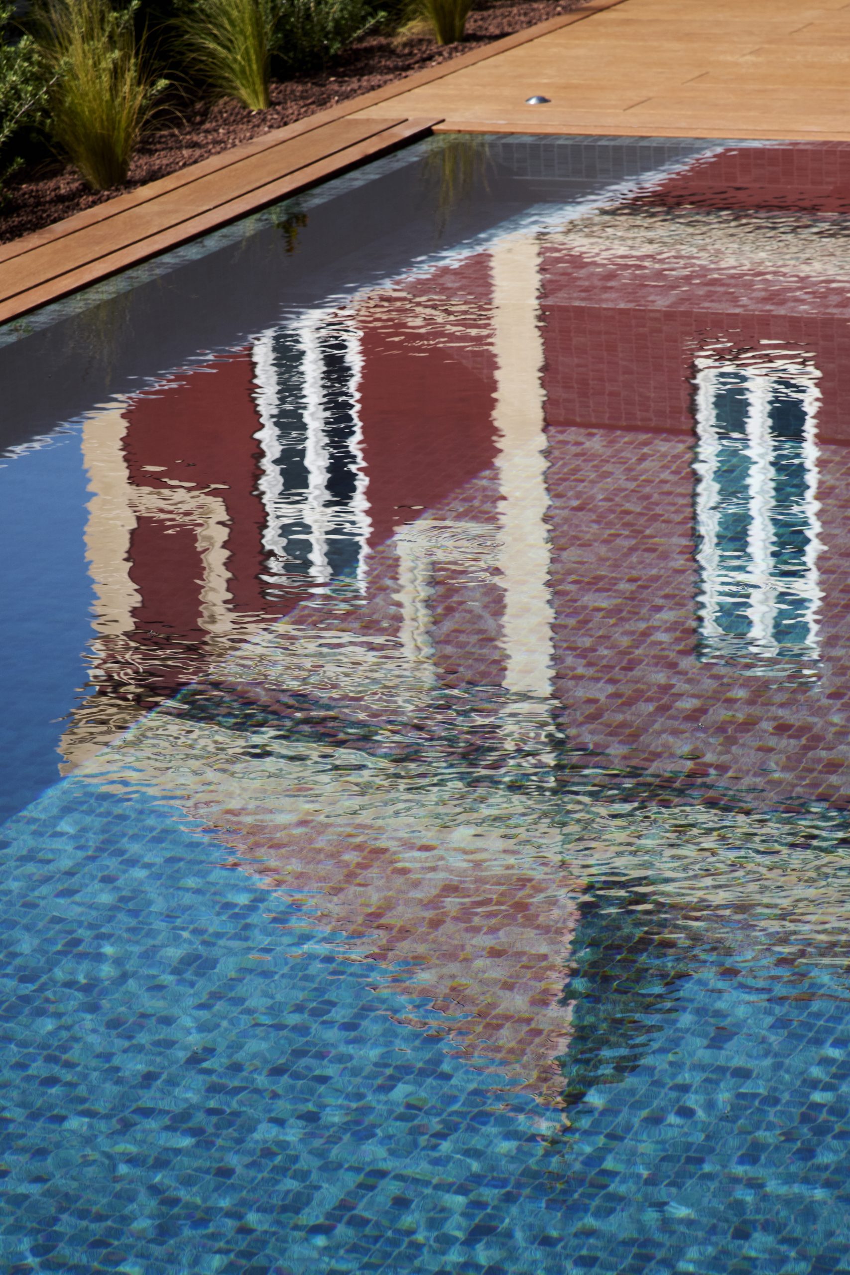 capoeira algarve arte portugal