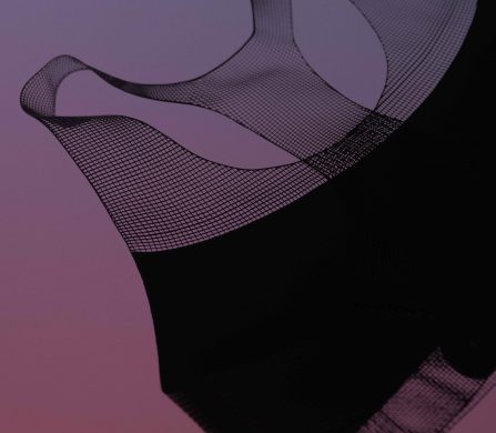 014_nike-flyweb-bra-1