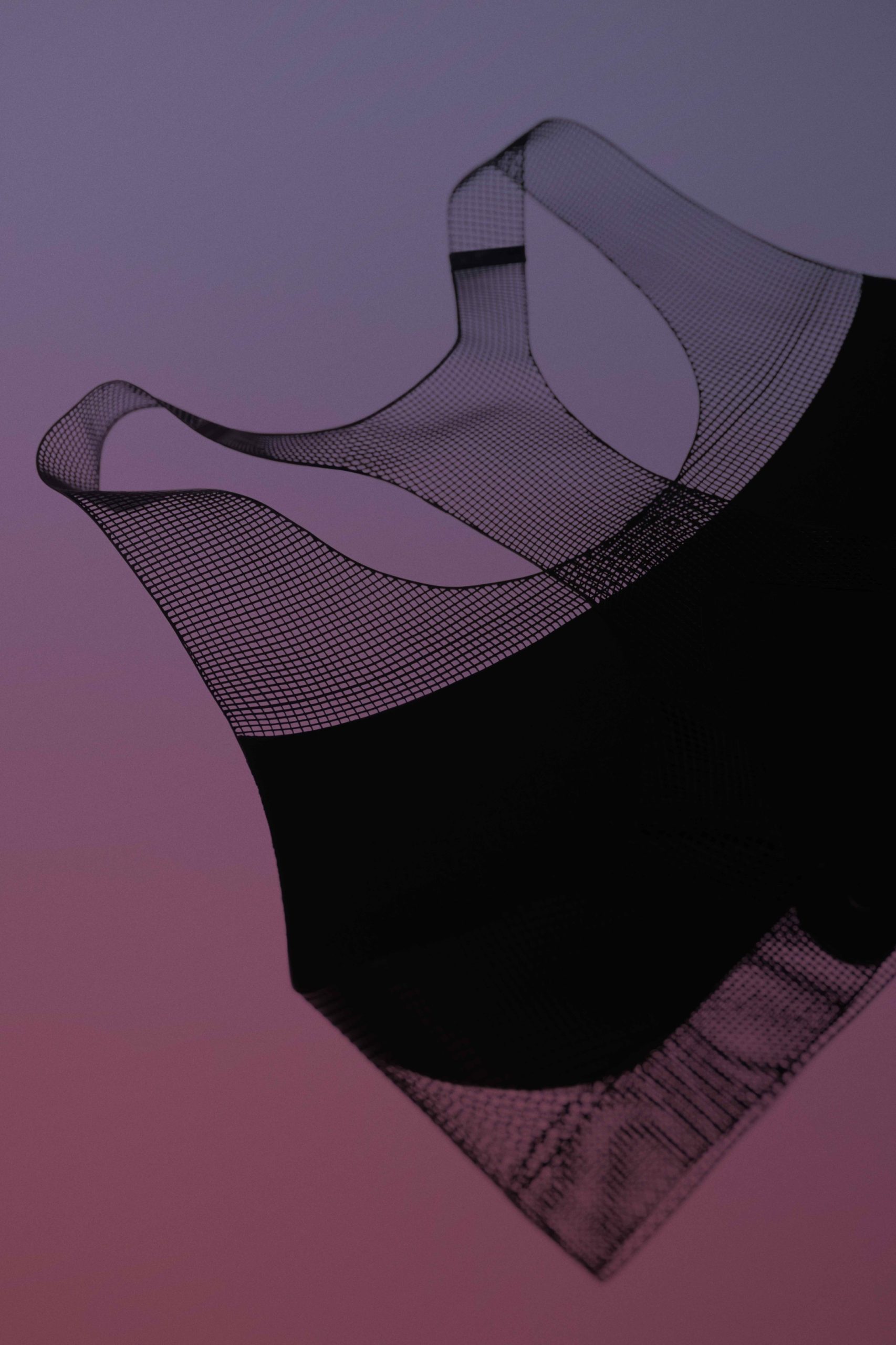014_nike-flyweb-bra-1