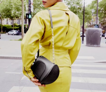 DELVAUX LE PIN TWIST_2