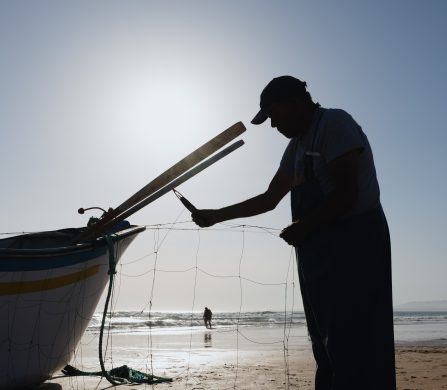 MOGACAPARICA-ALICESUTTON-2961