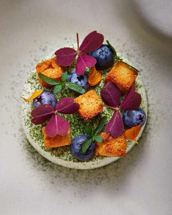 Schön! alive | happiness on a plate