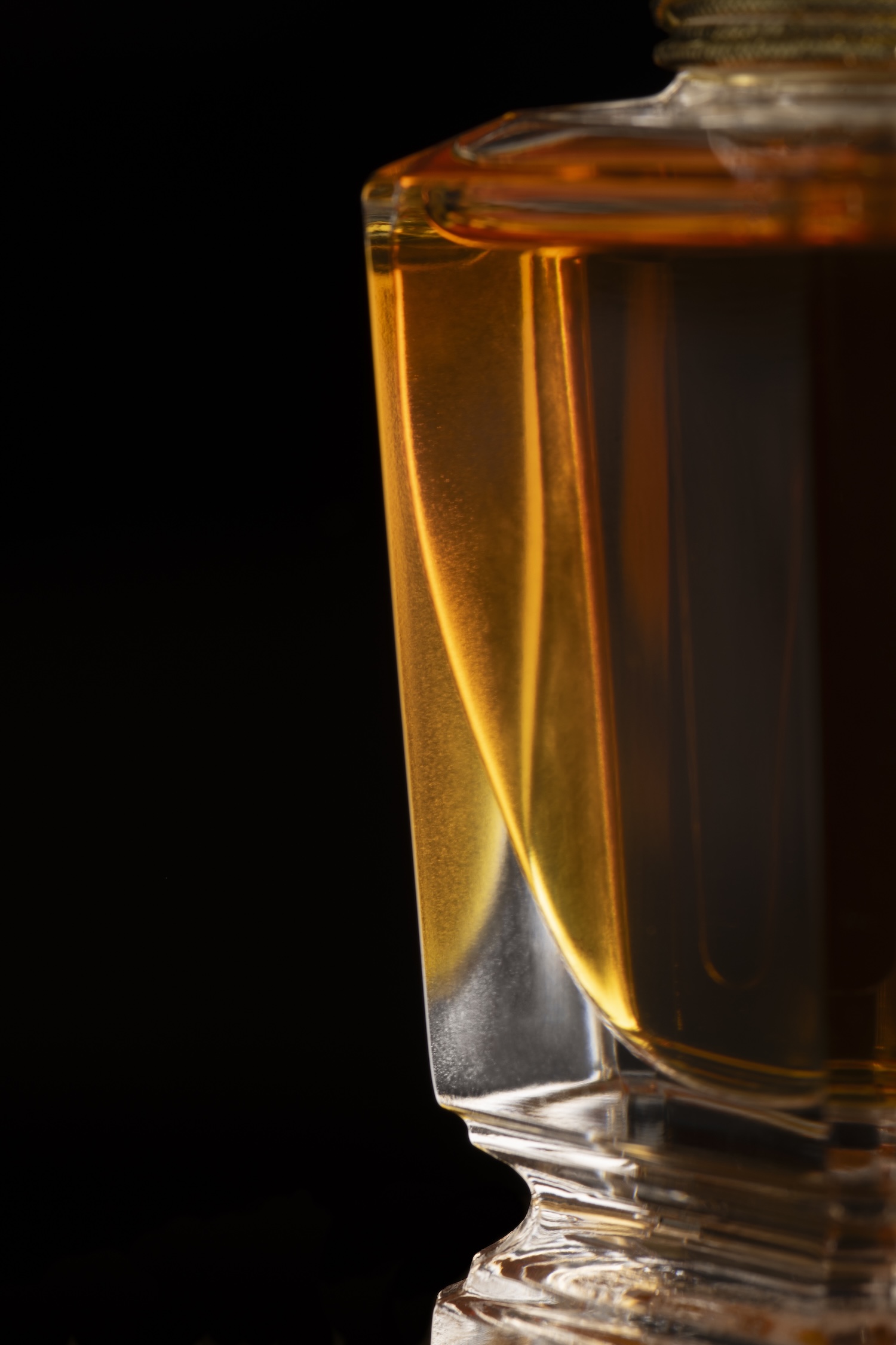 STEPHANE-ROLLAND-X-HJ_STILL-LIFE_ESSENCE_MACRO_01