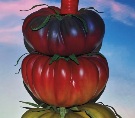Loewe_Tomate_137901