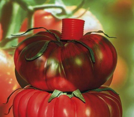 Loewe_Tomate_137928