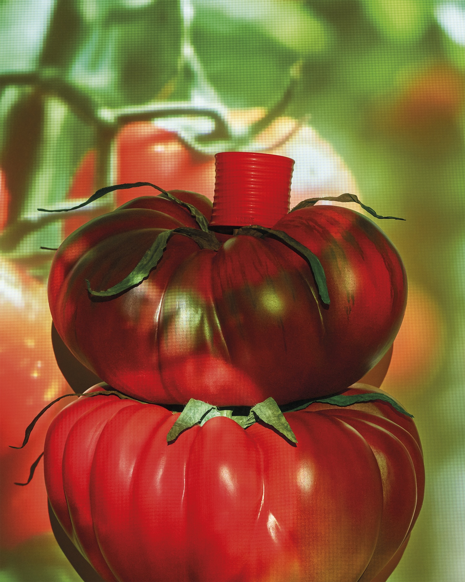 Loewe_Tomate_137928