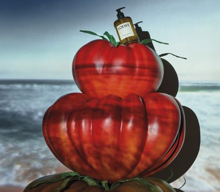 Loewe_Tomate_137980