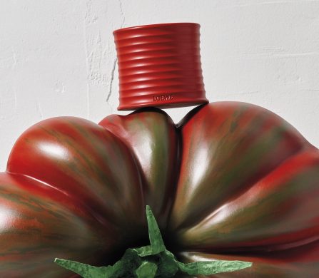 Loewe_Tomate_138002