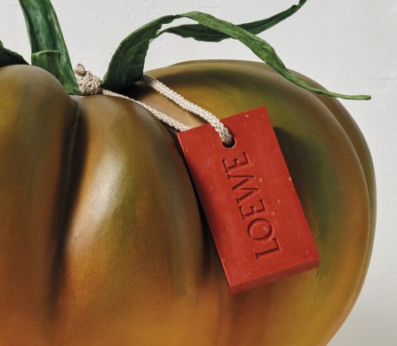 Loewe_Tomate_138006