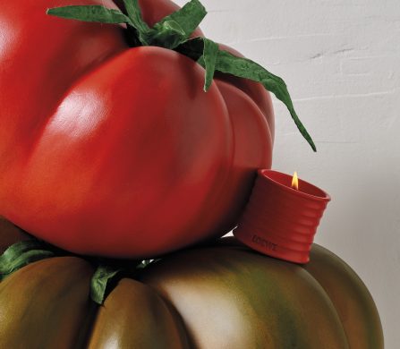 Loewe_Tomate_138021