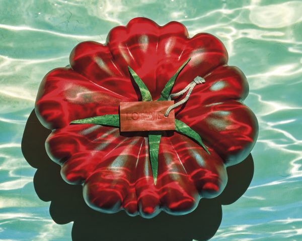 loewe x ignasi monreal | the new perfume home scents