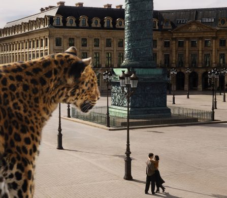 LOVE_FORMATS-PRESSE-01_0008_SHOT01_CAMERA1_2592_14_SP_450DPI_RVB