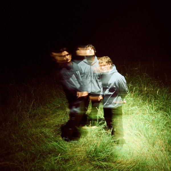 curated | little image