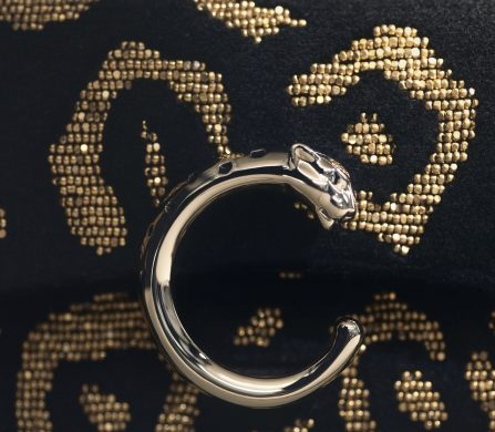 Panthère C de Cartier – mini chain bag Pearls_CRL1002740© Mattia Parodi © Cartier_Rights End 31.10.26 (2)